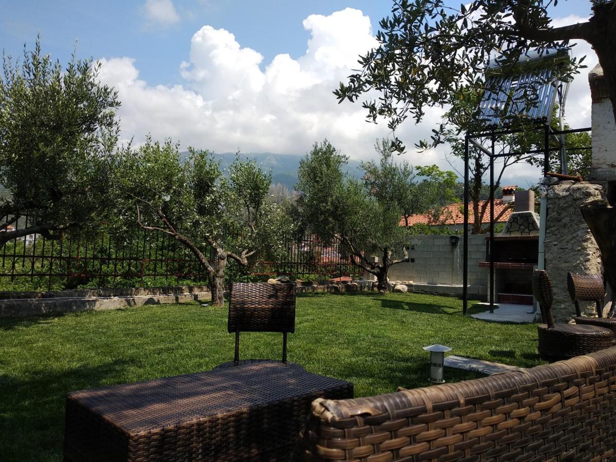 Villa Agnanti Apts And Suites Agio Pnevma Exterior foto